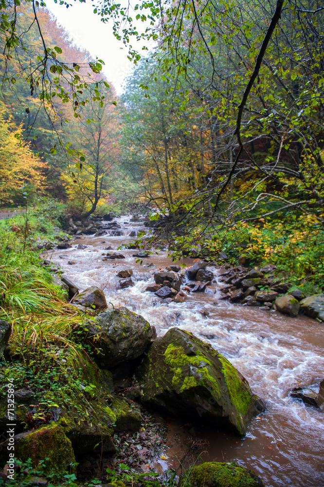 Autumn landscape