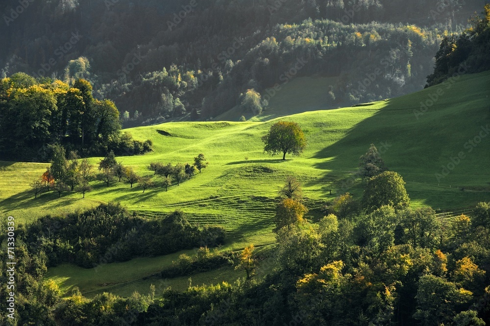 Fototapeta premium Norwegia , krajobraz wiejski