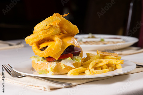 Gourmet Cheeseburger and French Fries on Plate