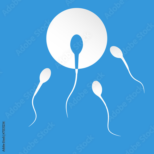 Human sperm cell and male fertility photo