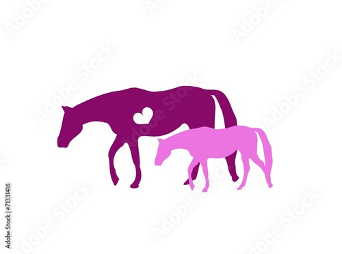 Fototapeta Naklejka Na Ścianę i Meble -  Mare with foal