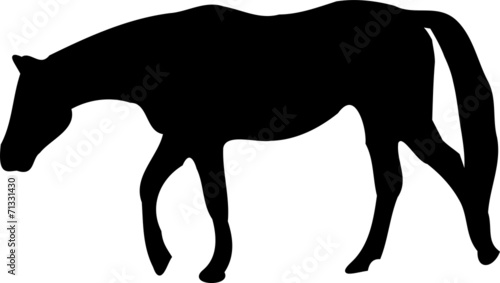 Fototapeta Naklejka Na Ścianę i Meble -  Horse silhouette