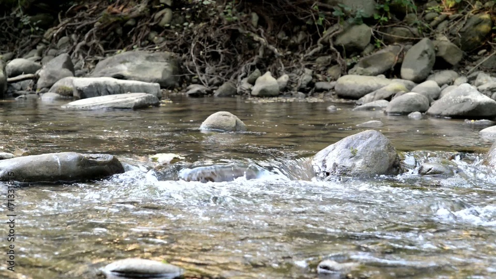 Ruscello, corrente e rapide, corso di acqua Ruscello, corrente e rapide, corso di acqua