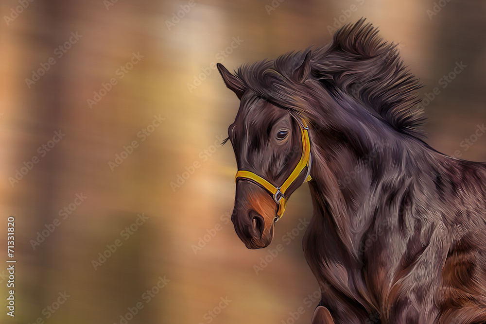 Obraz Rysunek konia, portret,