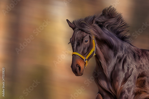 Obraz na płótnie Rysunek konia, portret,