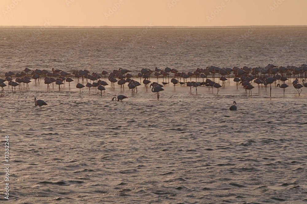 Abendstimmung in der Lagune von Walvisbay Abendstimmung in der Lagune von Walvisbay