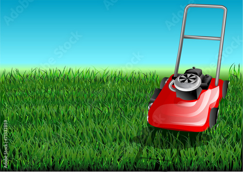 grass and mow