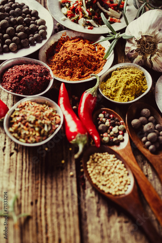 Powder spices in metal bowls © valya82