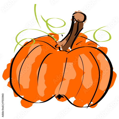Zucca