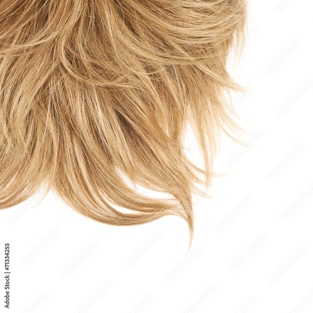 Hair fragment over the white Hair fragment over the white