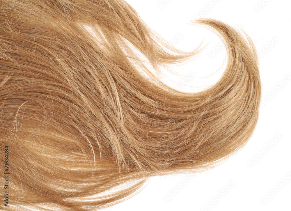 Hair fragment over the white Hair fragment over the white