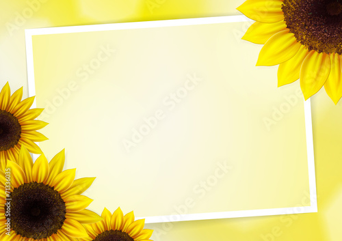 Sunflowers vector background for image and text