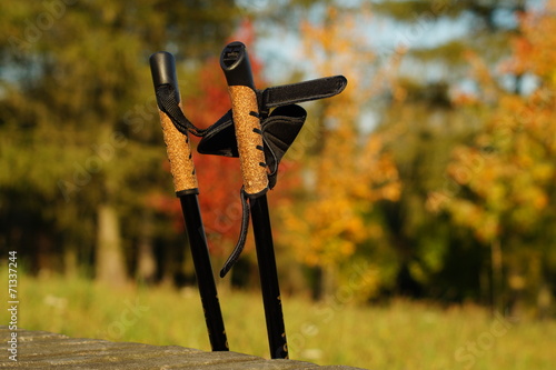 Konstfotografi Nordic walking on the autumn park. Active and healthy lifestyle.
