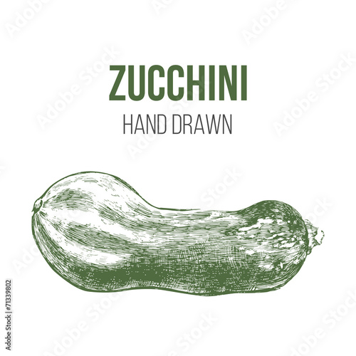 hand drawn zucchini