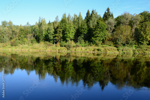 Fototapeta Naklejka Na Ścianę i Meble -  Trees symmetric reflection in a river