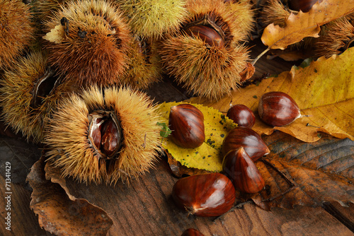 castagne sfondo vintage