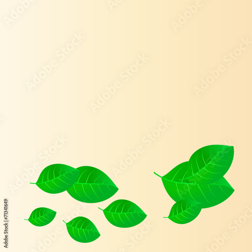 Vector illustration of green fallen leaves