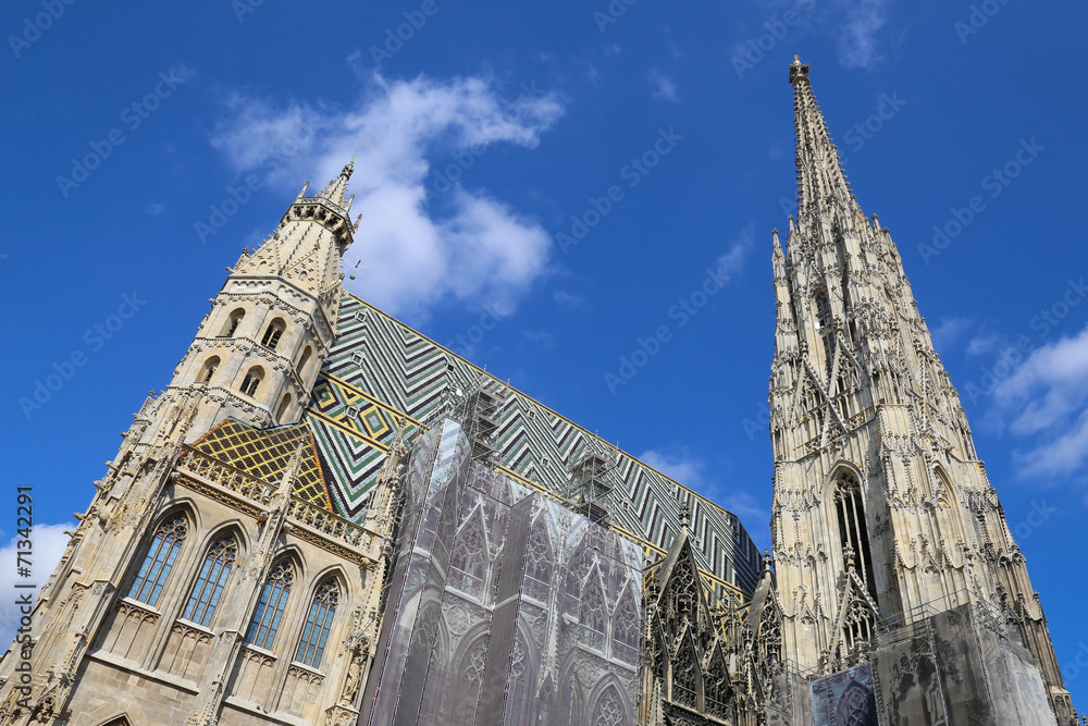 Fototapeta premium St. Stephans cathedral, Vienna, Austria
