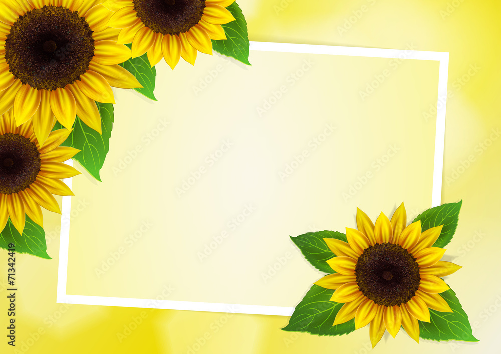 Naklejka premium Sunflowers vector background for image and text