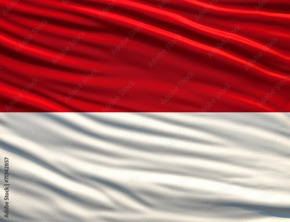 Obraz premium flag of Monaco