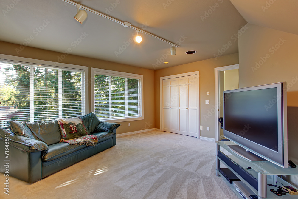 Fototapeta premium Room with green leather couch