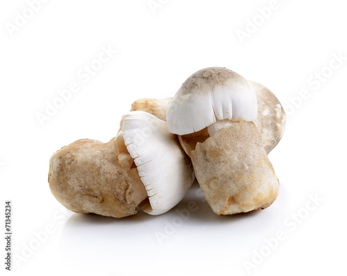 Fresh rice straw mushrooms