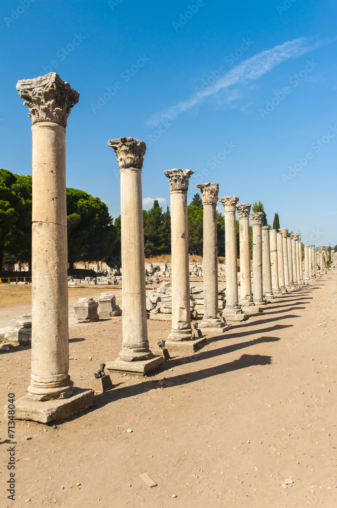Fototapeta premium Columns in Ephesus