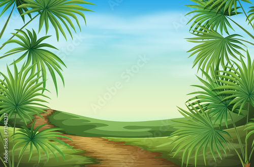 A beautiful landscape with palm plants