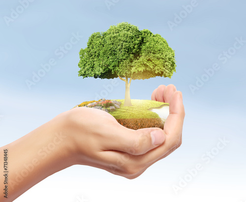 Man holding tree sprouting photo