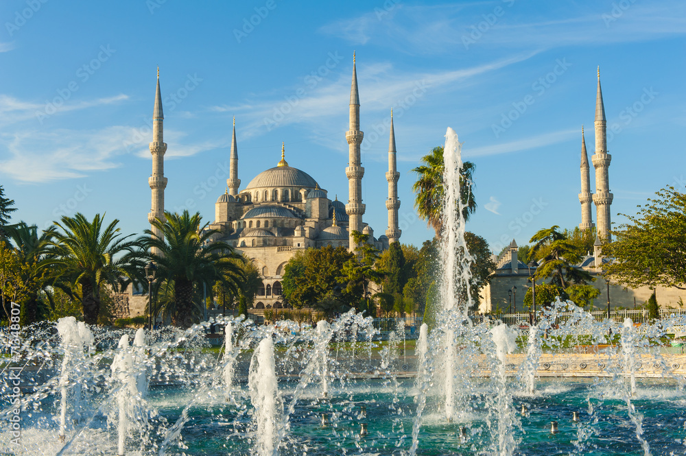 Naklejka premium Blue Mosque