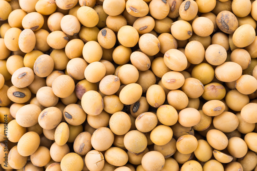 Soybean isolated on white background Soybean isolated on white background