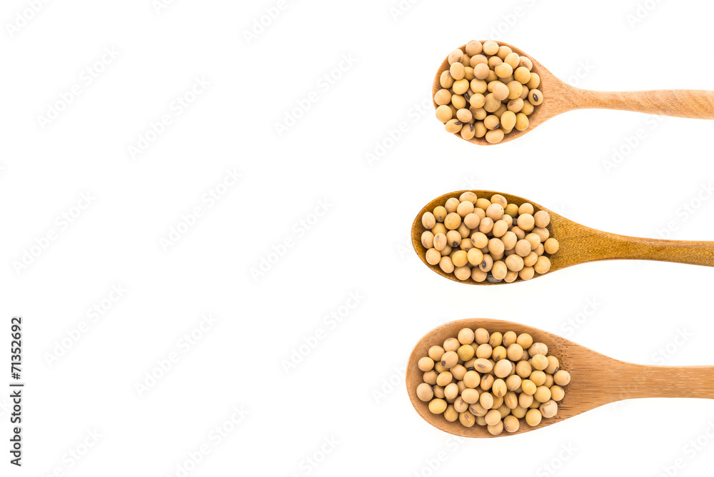 Soybean isolated on white background Soybean isolated on white background