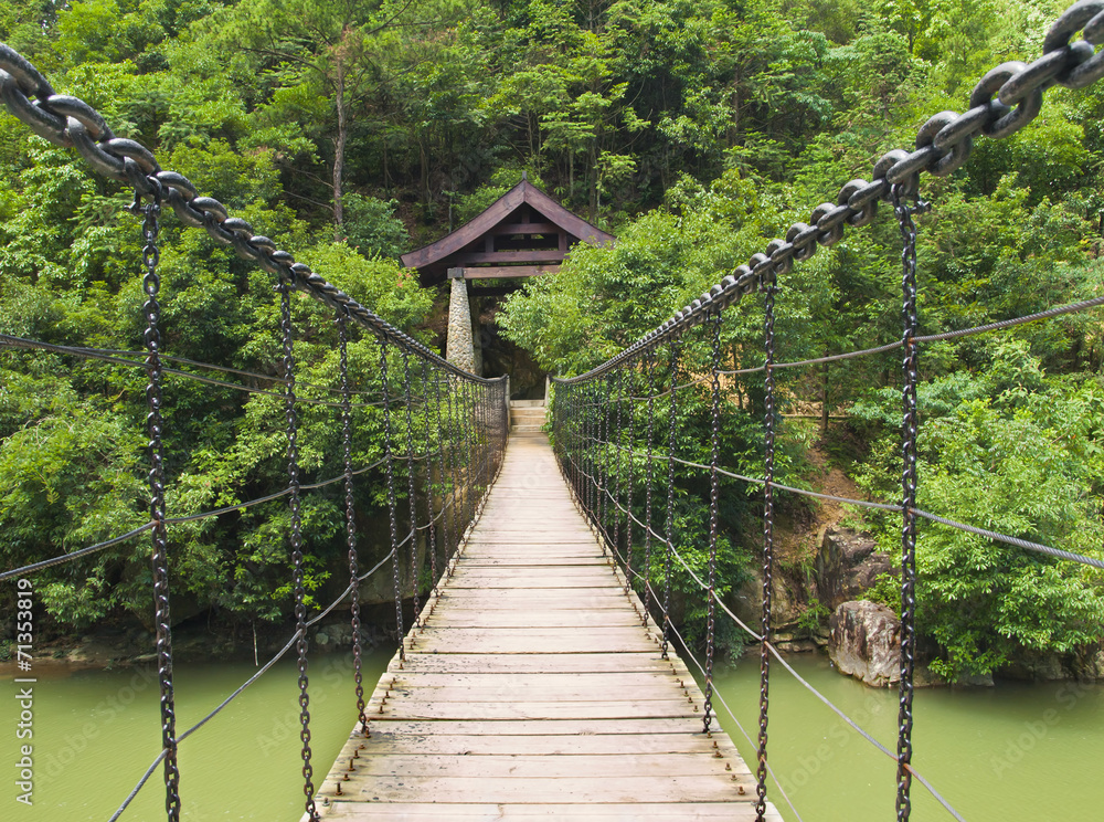 Fototapeta premium suspension bridge over asian river