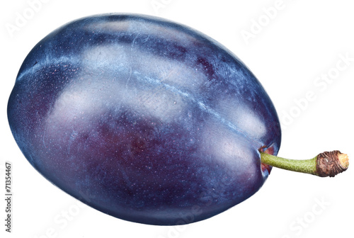 One plum isolated on a white.