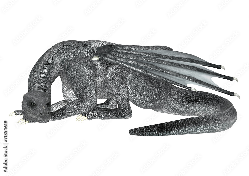 Fototapeta premium Resting Dragon