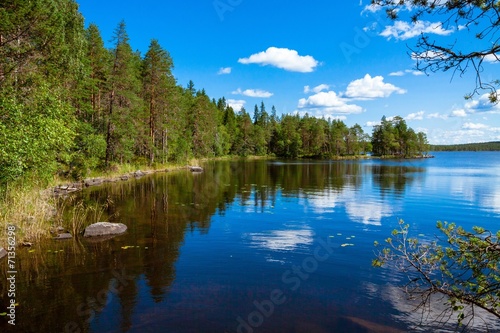 pine forest reflection in the lake