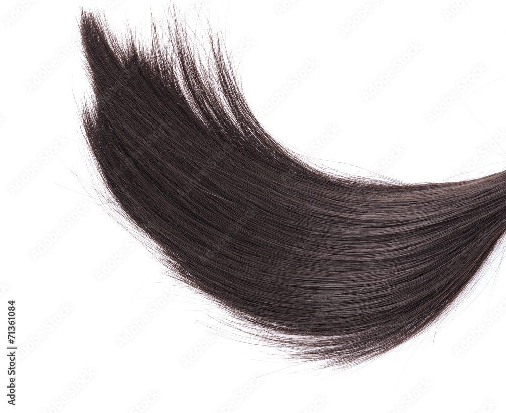 Closeup black hair on white background. Closeup black hair on white background.