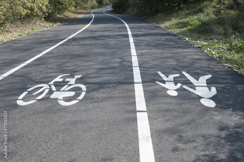 Bike and pedestrian lanes
