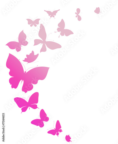 butterflies design