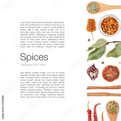 different spices and herbs on white background. top view