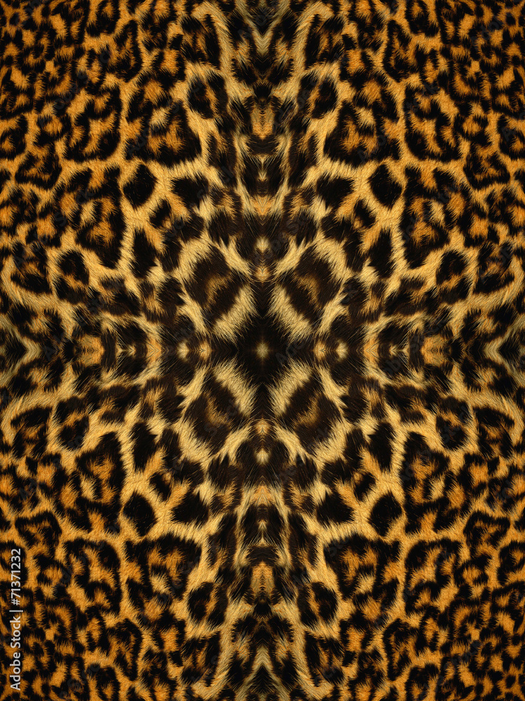 Kaleidoscope Animal Fur Pattern Kaleidoscope Animal Fur Pattern