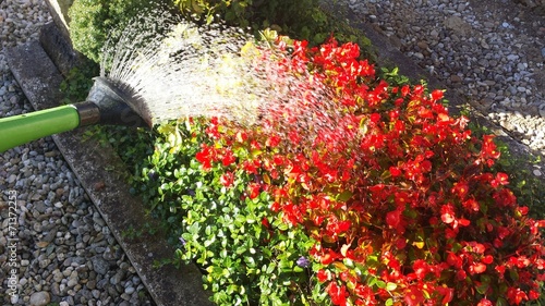 instant grab giessen I