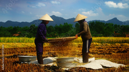 vietnamese farmer