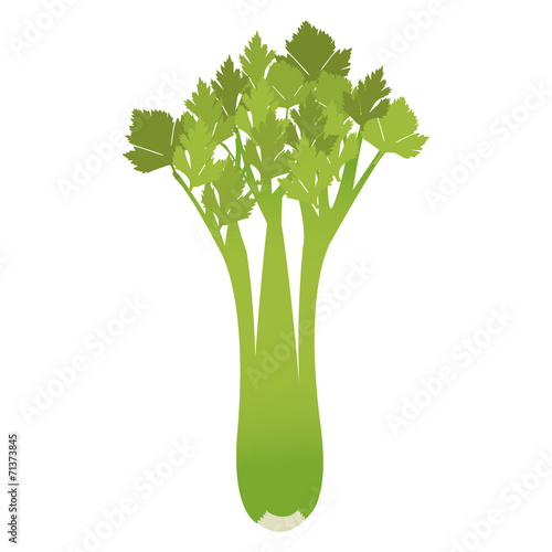 Celery