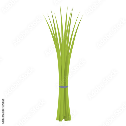 Chives