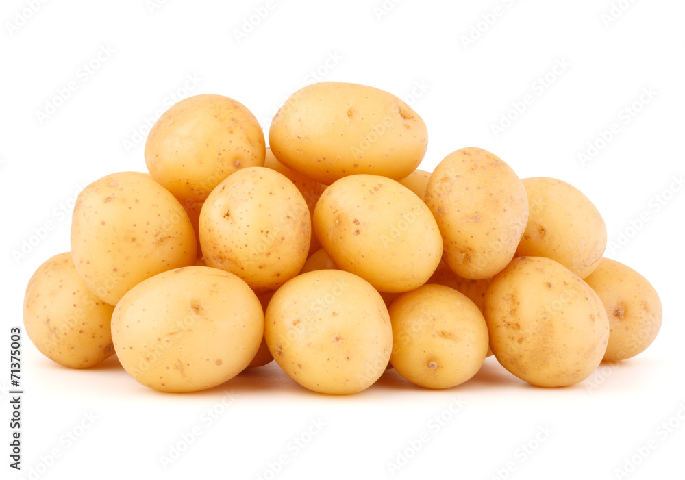 new potato tuber isolated on white background cutout new potato tuber isolated on white background cutout