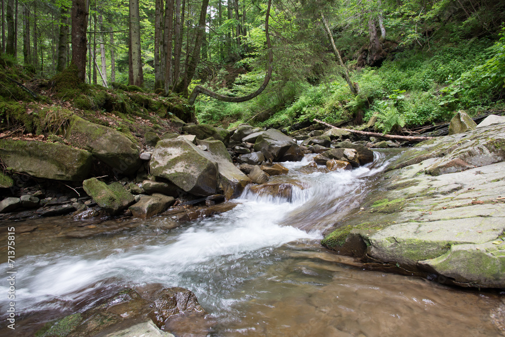 Small Carpathian stream Small Carpathian stream