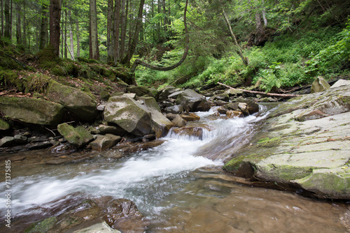 Small Carpathian stream
