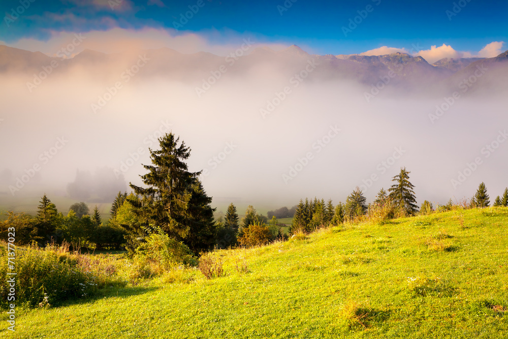 Colorful summer morning in the Triglav national park Slovenia, A