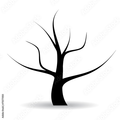 Tree silhouette